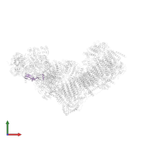 Mitochondrial complex I, 13 kDa subunit in PDB entry 6zkd, assembly 1, front view.