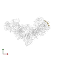 NADH:ubiquinone oxidoreductase subunit B2 in PDB entry 6zkd, assembly 1, front view.