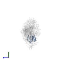 NADH-ubiquinone oxidoreductase chain 6 in PDB entry 6zke, assembly 1, side view.