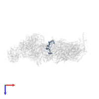 NADH-ubiquinone oxidoreductase chain 6 in PDB entry 6zke, assembly 1, top view.