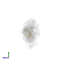 Mitochondrial complex I, PDSW subunit in PDB entry 6zke, assembly 1, side view.