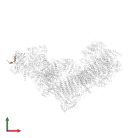 Mitochondrial complex I, 10 kDa subunit in PDB entry 6zke, assembly 1, front view.