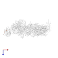 Mitochondrial complex I, 10 kDa subunit in PDB entry 6zke, assembly 1, top view.