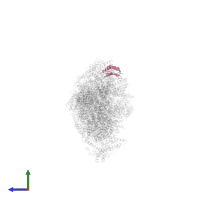 NADH dehydrogenase [ubiquinone] 1 alpha subcomplex subunit 2 in PDB entry 6zke, assembly 1, side view.