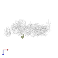 Mitochondrial complex I, B13 subunit in PDB entry 6zke, assembly 1, top view.