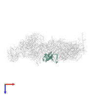 NADH dehydrogenase [ubiquinone] 1 alpha subcomplex subunit 10, mitochondrial in PDB entry 6zke, assembly 1, top view.