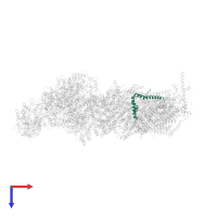 NADH dehydrogenase [ubiquinone] 1 beta subcomplex subunit 4 in PDB entry 6zke, assembly 1, top view.