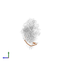 Mitochondrial complex I, B16.6 subunit in PDB entry 6zke, assembly 1, side view.