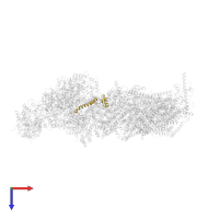 Mitochondrial complex I, MWFE subunit in PDB entry 6zke, assembly 1, top view.