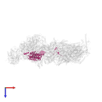 Mitochondrial complex I, 49 kDa subunit in PDB entry 6zke, assembly 1, top view.