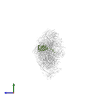 NADH dehydrogenase [ubiquinone] iron-sulfur protein 3, mitochondrial in PDB entry 6zke, assembly 1, side view.