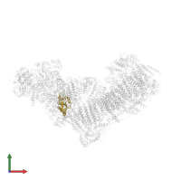Mitochondrial complex I, PSST subunit in PDB entry 6zke, assembly 1, front view.