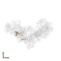 Mitochondrial complex I, TYKY subunit in PDB entry 6zke, assembly 1, front view.