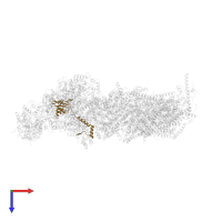 Mitochondrial complex I, TYKY subunit in PDB entry 6zke, assembly 1, top view.