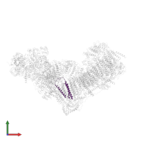 NADH-ubiquinone oxidoreductase chain 3 in PDB entry 6zke, assembly 1, front view.