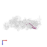 NADH:ubiquinone oxidoreductase subunit B5 in PDB entry 6zkf, assembly 1, top view.