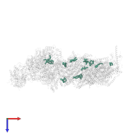 1,2-DIACYL-SN-GLYCERO-3-PHOSPHOETHANOLAMINE in PDB entry 6zkf, assembly 1, top view.