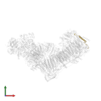 NADH:ubiquinone oxidoreductase subunit B2 in PDB entry 6zkj, assembly 1, front view.