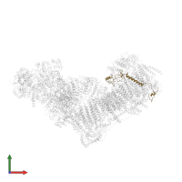 NADH dehydrogenase [ubiquinone] 1 beta subcomplex subunit 8, mitochondrial in PDB entry 6zkj, assembly 1, front view.