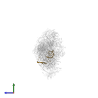 Mitochondrial complex I, TYKY subunit in PDB entry 6zkj, assembly 1, side view.