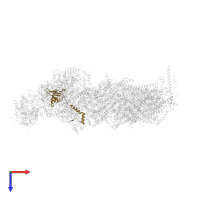 Mitochondrial complex I, TYKY subunit in PDB entry 6zkj, assembly 1, top view.