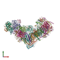 PDB entry 6zkk coloured by chain, front view.