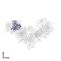 NADH:ubiquinone oxidoreductase core subunit S1 in PDB entry 6zkk, assembly 1, front view.