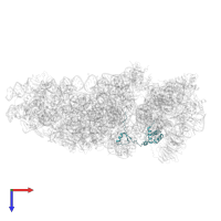 Small ribosomal subunit protein eS17 in PDB entry 6zlw, assembly 1, top view.