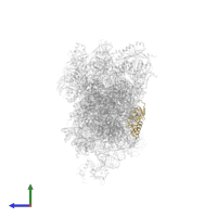 Small ribosomal subunit protein uS13 in PDB entry 6zlw, assembly 1, side view.