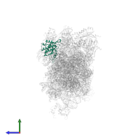 Small ribosomal subunit protein uS2 in PDB entry 6zlw, assembly 1, side view.