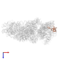 Small ribosomal subunit protein eS19 in PDB entry 6zlw, assembly 1, top view.