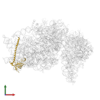 Small ribosomal subunit protein eS6 in PDB entry 6zlw, assembly 1, front view.