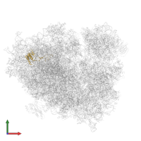 Large ribosomal subunit protein eL18 in PDB entry 6zm7, assembly 1, front view.