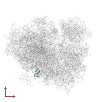 Large ribosomal subunit protein uL23 in PDB entry 6zmi, assembly 1, front view.