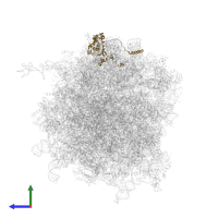 Large ribosomal subunit protein uL18 in PDB entry 6zmi, assembly 1, side view.