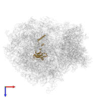 Large ribosomal subunit protein uL18 in PDB entry 6zmi, assembly 1, top view.