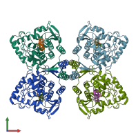 PDB entry 6zn2 coloured by chain, front view.