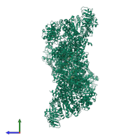 Homo hexameric assembly 1 of PDB entry 6zng coloured by chemically distinct molecules, side view.