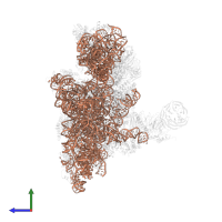 18S Ribosomal RNA in PDB entry 6zon, assembly 1, side view.