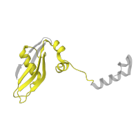 The deposited structure of PDB entry 6zp4 contains 1 copy of Pfam domain PF01282 (Ribosomal protein S24e) in Small ribosomal subunit protein eS24. Showing 1 copy in chain O [auth z].