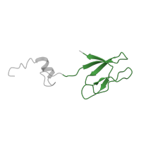 The deposited structure of PDB entry 6zp4 contains 1 copy of Pfam domain PF01667 (Ribosomal protein S27) in Small ribosomal subunit protein eS27. Showing 1 copy in chain P [auth R].