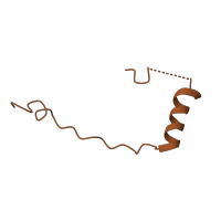 The deposited structure of PDB entry 6zp4 contains 1 copy of Pfam domain PF04758 (Ribosomal protein S30) in Small ribosomal subunit protein eS30. Showing 1 copy in chain Q [auth T].