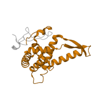 The deposited structure of PDB entry 6zp4 contains 1 copy of Pfam domain PF00177 (Ribosomal protein S7p/S5e) in Small ribosomal subunit protein uS7. Showing 1 copy in chain U [auth e].