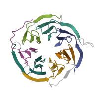 The deposited structure of PDB entry 6zp4 contains 7 copies of Pfam domain PF00400 (WD domain, G-beta repeat) in Small ribosomal subunit protein RACK1. Showing 7 copies in chain GA [auth V].