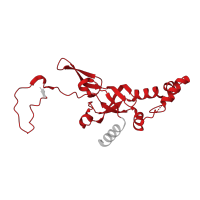 The deposited structure of PDB entry 6zp4 contains 1 copy of Pfam domain PF01201 (Ribosomal protein S8e) in Small ribosomal subunit protein eS8. Showing 1 copy in chain I [auth t].