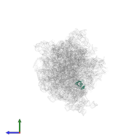 Large ribosomal subunit protein uL14 in PDB entry 6ztn, assembly 1, side view.