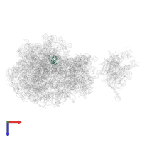 Large ribosomal subunit protein uL14 in PDB entry 6ztn, assembly 1, top view.