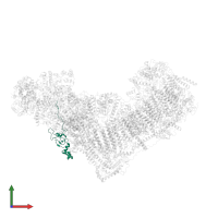 NADH dehydrogenase [ubiquinone] 1 alpha subcomplex subunit 12 in PDB entry 6ztq, assembly 1, front view.