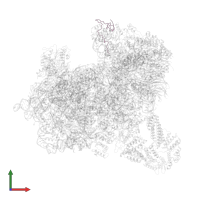 Ubiquitin-ribosomal protein eS31 fusion protein in PDB entry 6zu9, assembly 1, front view.