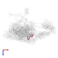 Small ribosomal subunit protein uS15 in PDB entry 6zvj, assembly 1, top view.